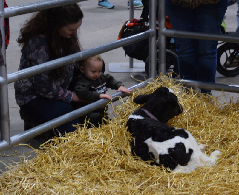 Farm-Show-Steph-3.jpg